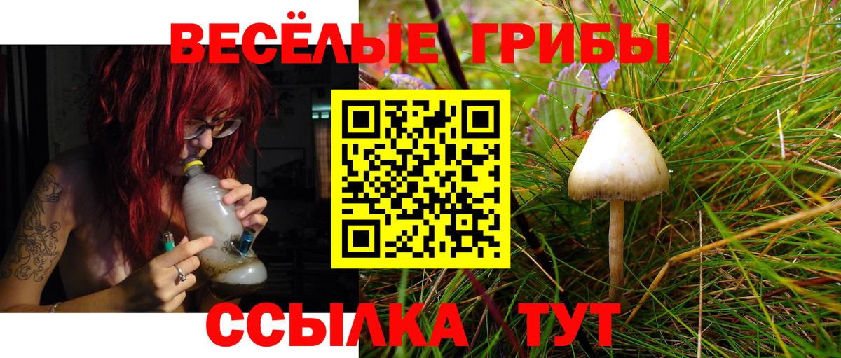 Галлюциногенные грибы прущие грибы Нефтеюганск